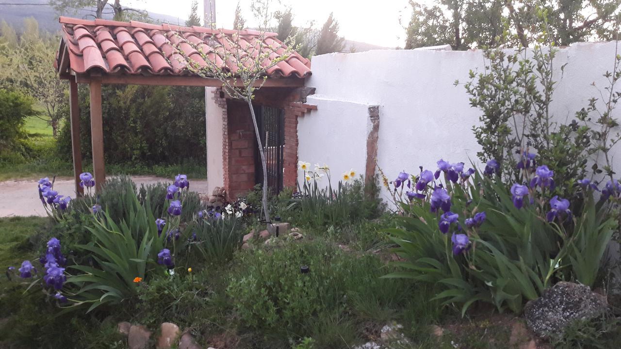 Casa de la abuela Bego Villa Los Molinos de Ocon Exterior foto